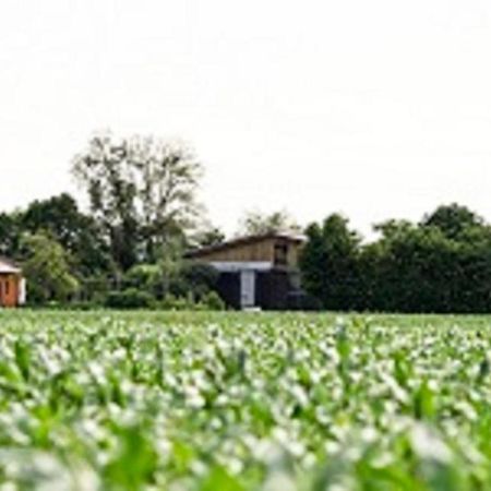 Apartamento Demeterhof Dünninger Hofheim in Unterfranken Exterior foto